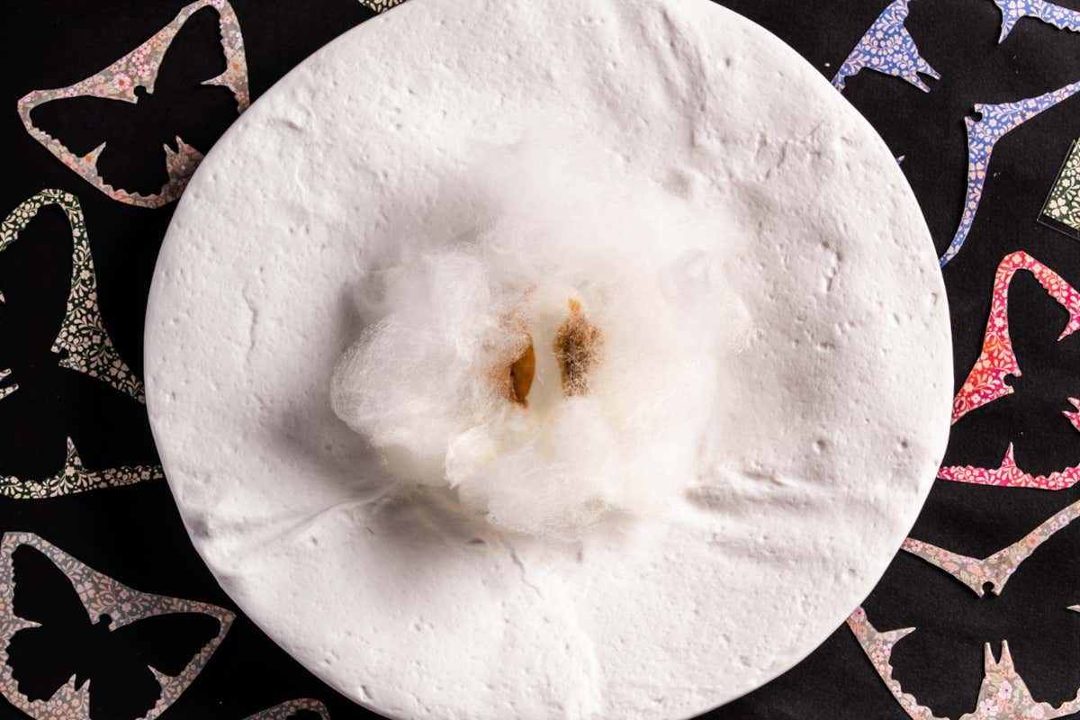 Luna e dolci dell’anima: cosa mangi secondo la tua emotività culinaria